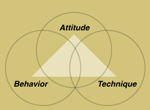 The Success Triangle